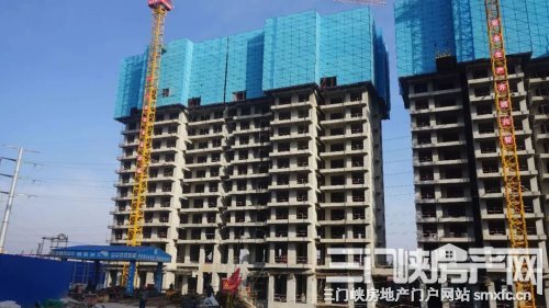 11月26日 义乌建材城&天鹅湖·印象|工程快报